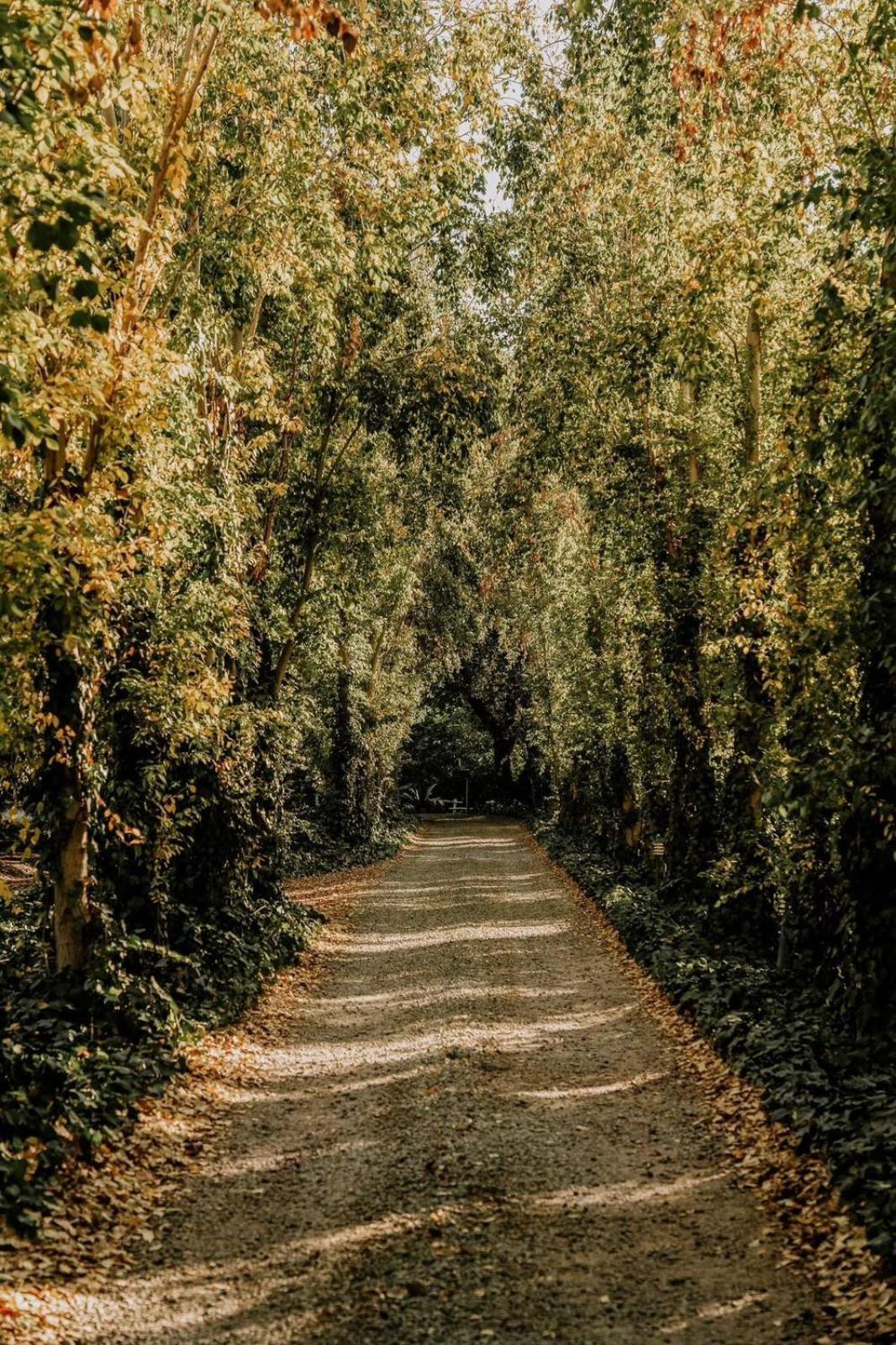 Villiera Guesthouse Douglas エクステリア 写真
